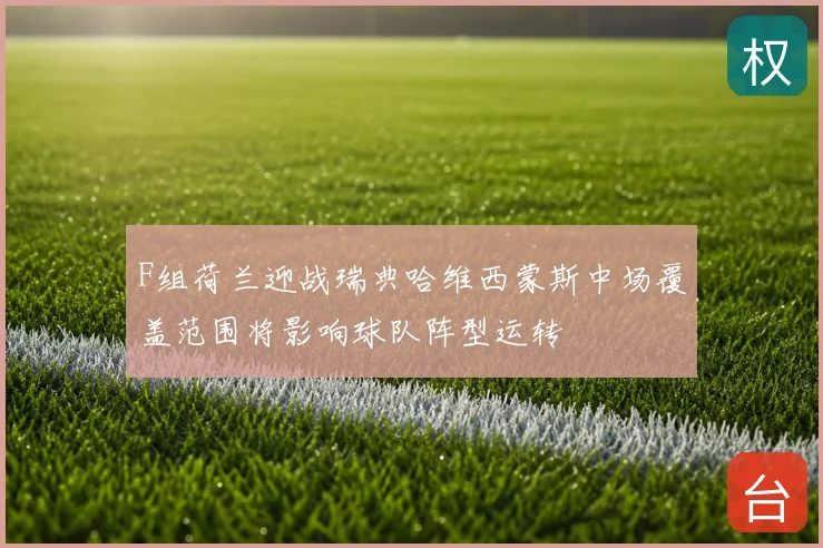 F组荷兰迎战瑞典哈维西蒙斯中场覆盖范围将影响球队阵型运转