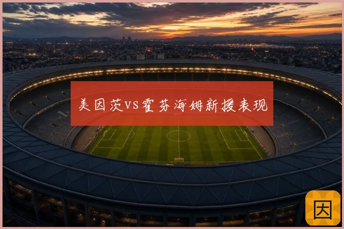 美因茨vs霍芬海姆新援表现